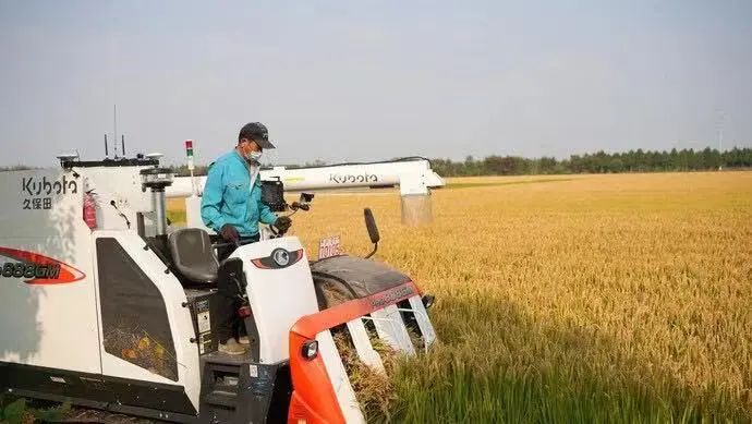 国内首次大规模富氢水稻喜获丰收！