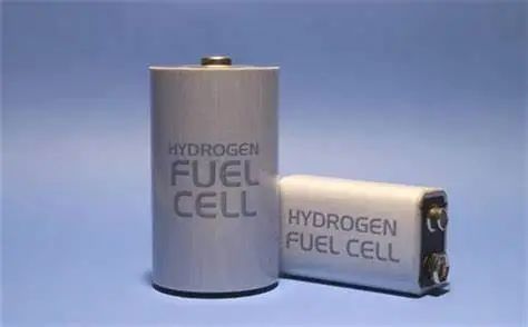 衣宝廉：燃料电池车商业化是氢能应用突破口